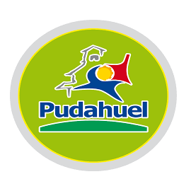 PUDAHUEL