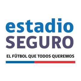 ESTADIO SEGURO