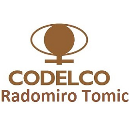 MINA RADOMIRO TOMIC